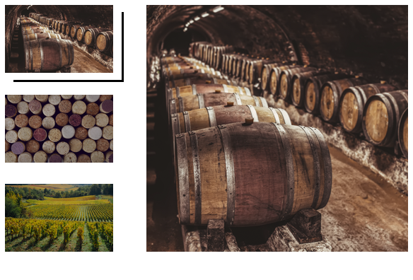 Les Vignerons de Nuits-Saint-Georges et Premeaux-Prissey