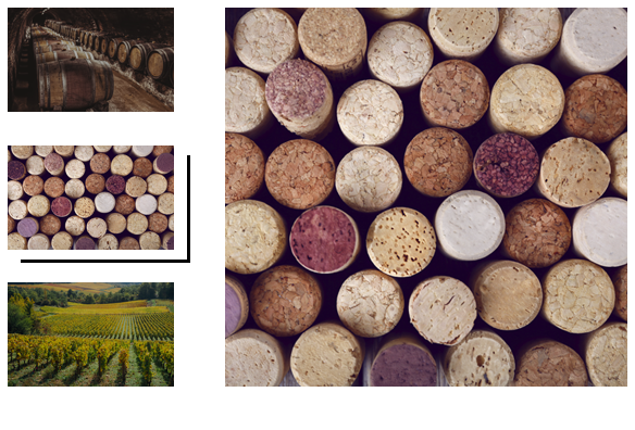 Les Vignerons de Nuits-Saint-Georges et Premeaux-Prissey
