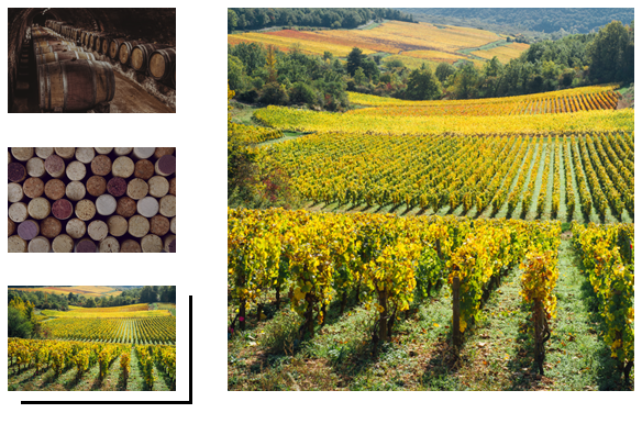 Les Vignerons de Nuits-Saint-Georges et Premeaux-Prissey